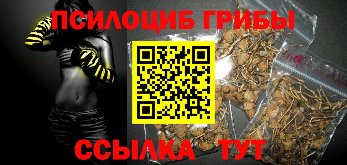 Серпухов  Псилоцибиновые грибы Cubensis  Вход с VPN 